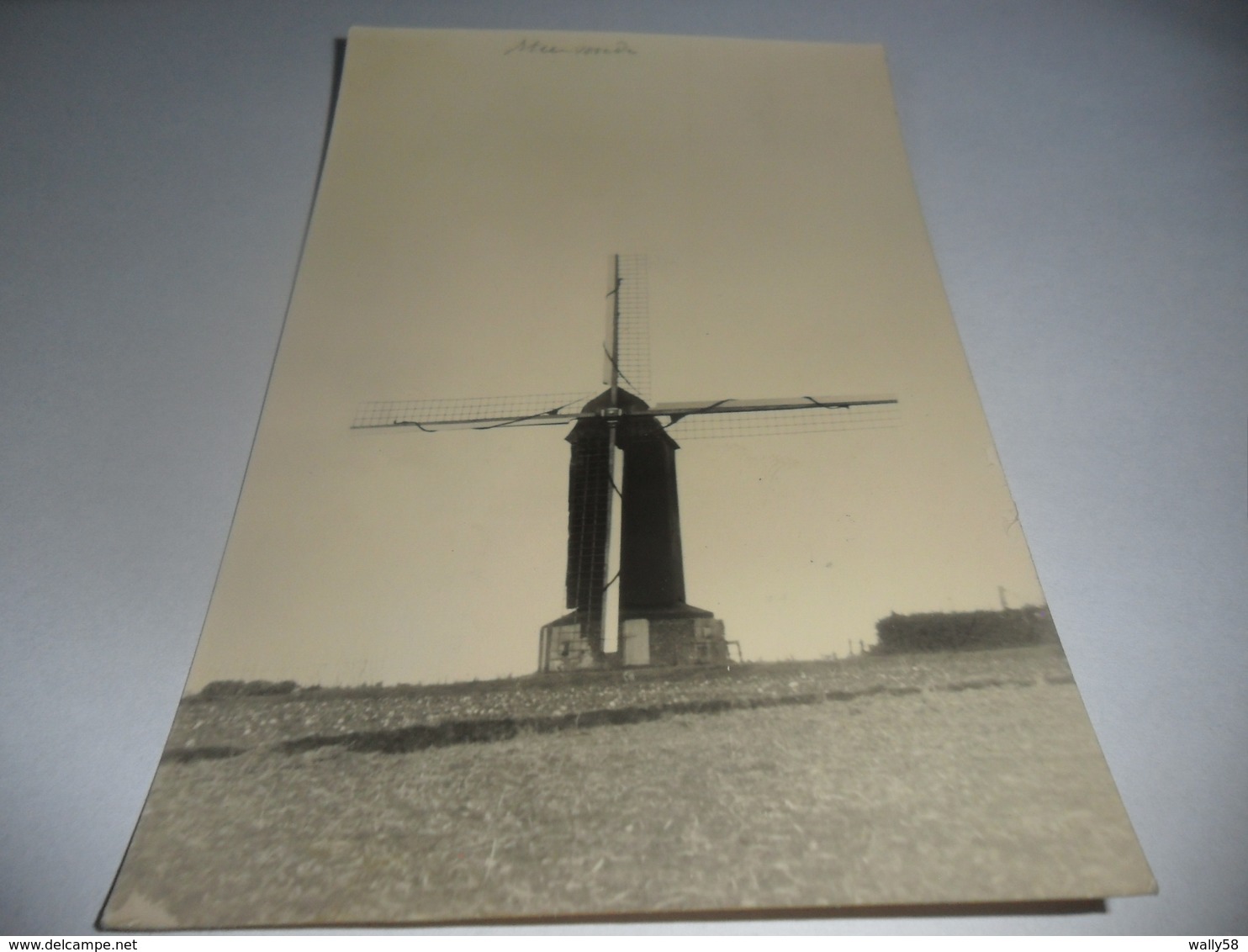 Steenvoorde Molen-moulin Fotokaart-photo-carte - Steenvoorde