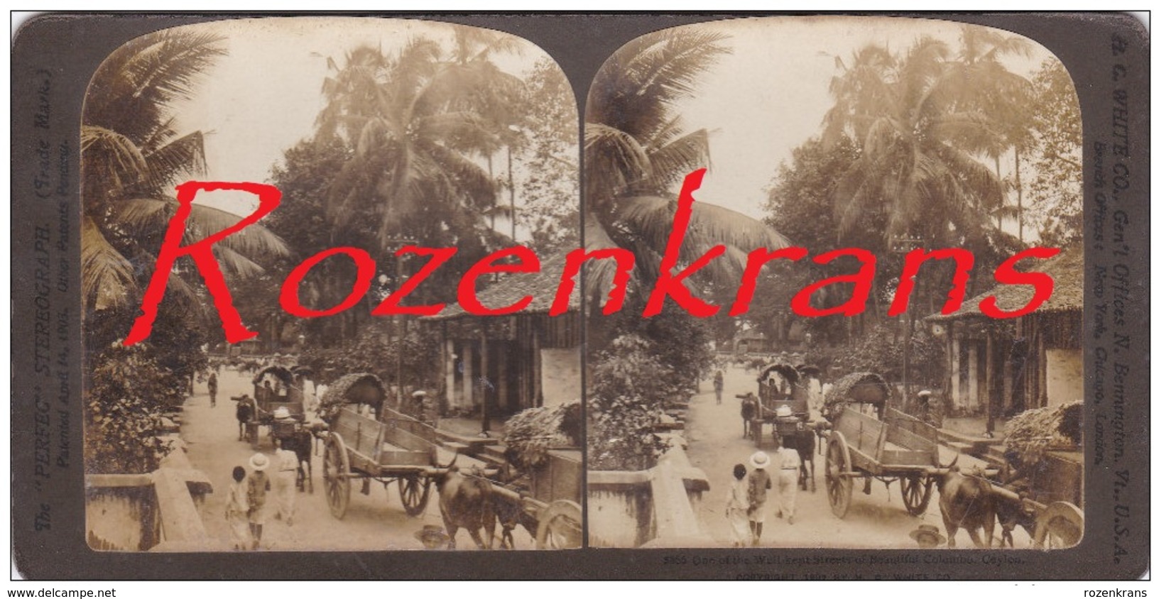 Old Original Photo Street Scene Ceylon Colombo Sri Lanka Tamil India Asia Azie Oude Foto Stereo Stereoscope Stereokaart - Stereoscopic
