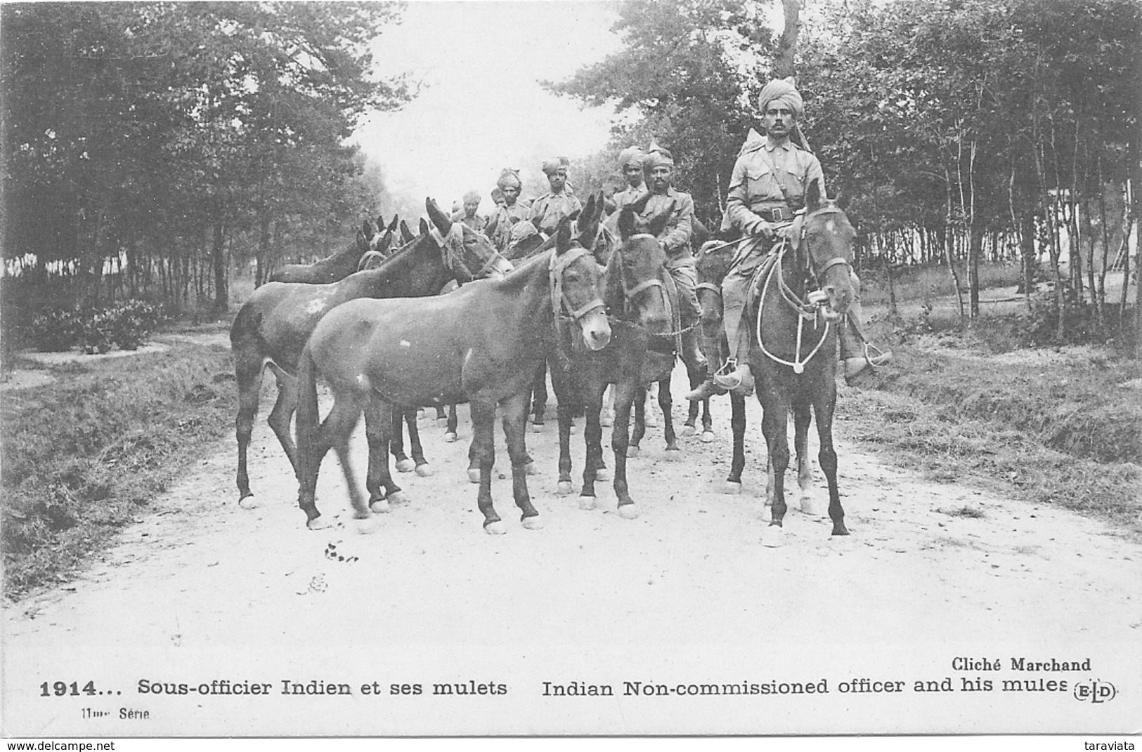 Guerre 1914 -1918 SOUS-OFFICIER INDIEN ET SES MULETS Militaria - Weltkrieg 1914-18