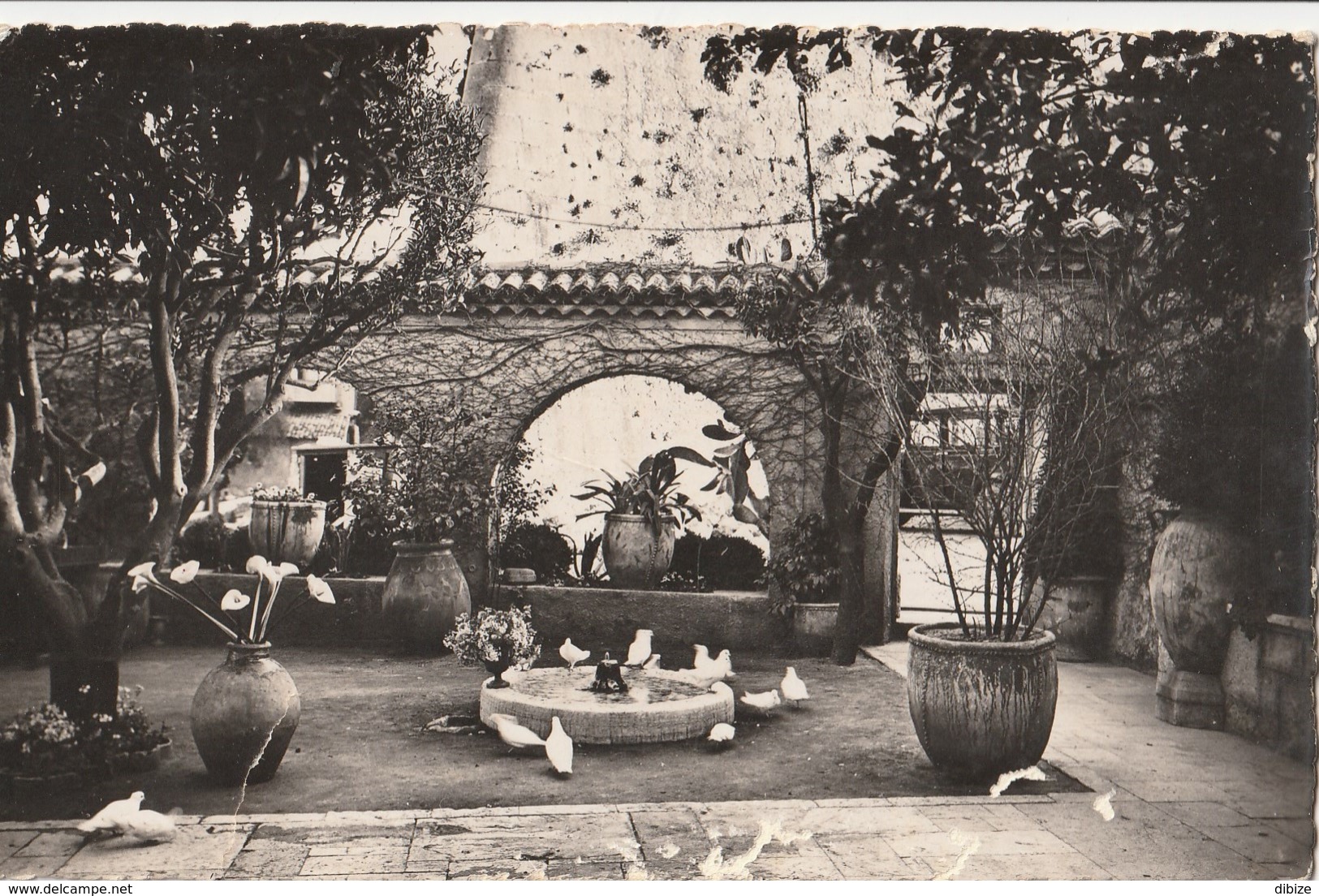 Carte Postale. France. Saint-Paul. La Colombe D'or. - Hotels & Restaurants