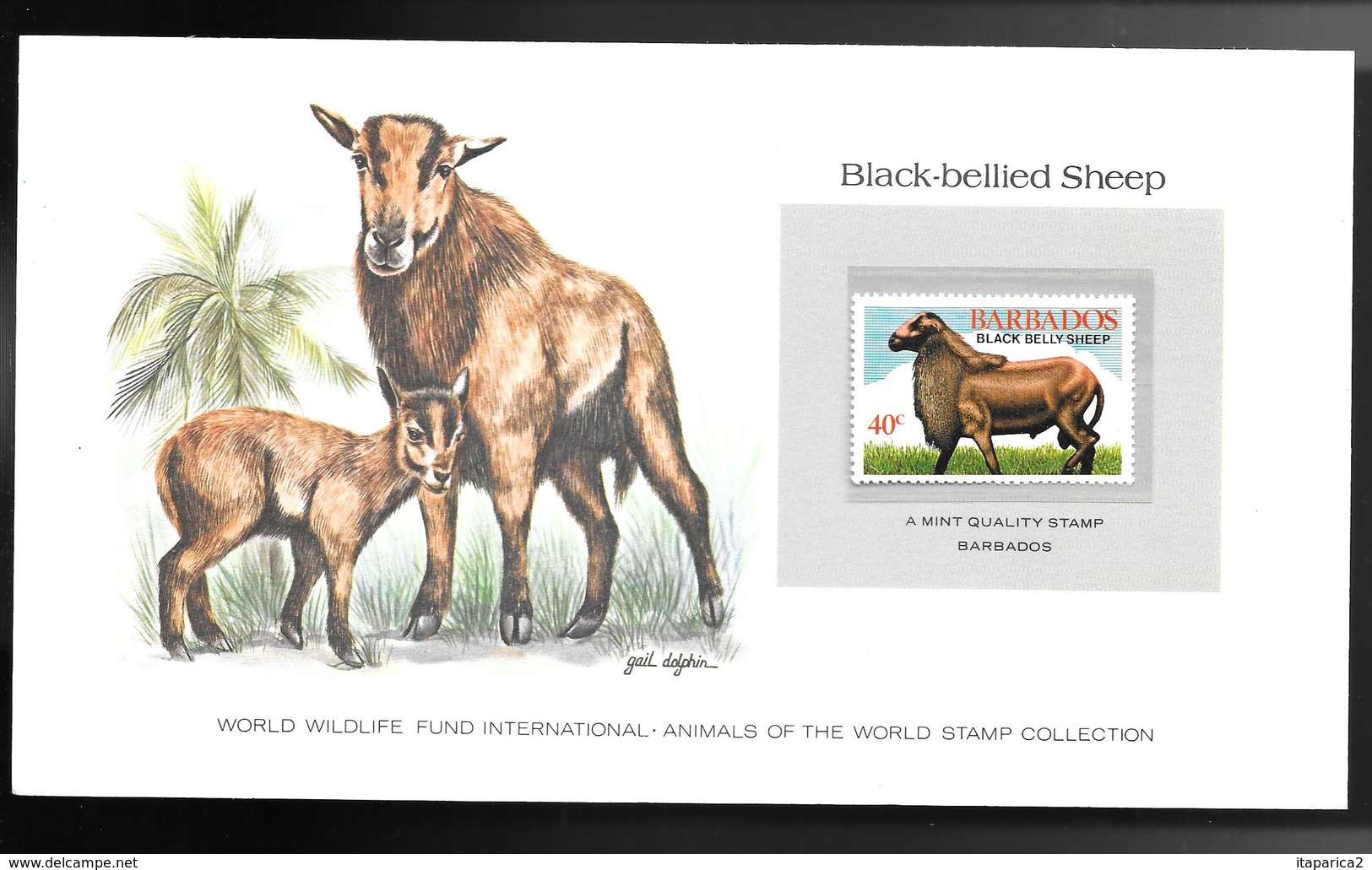 BARBADES1982 SUPERBE CARTE COLECTION WWF BLACK-BELLIED SHEEP MOUTON Avec Timbre N°541 Neuf **sans Charnière /  MA06 - Barbades (1966-...)