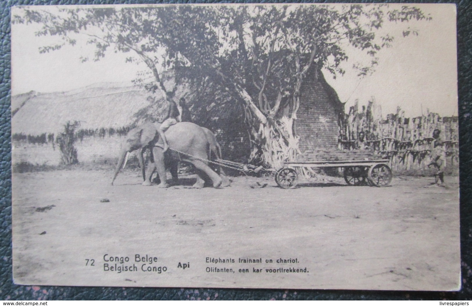 Congo Belge Elephants Trainant Chariot   Cpa Entier Postal - Belgian Congo