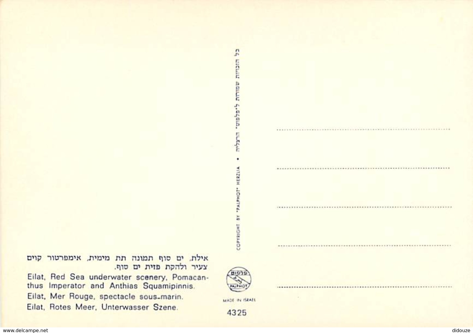 Animaux - Poissons - Eilat, Mer Rouge, Spectacle Sous-marin - Carte Neuve - Voir Scans Recto-Verso - Pescados Y Crustáceos