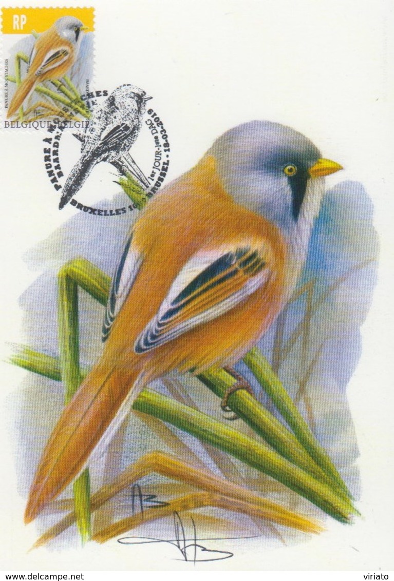 MC1652 - Panura à Moustaches / Baardmannetje (Panurus Biarmicus) - 1985-.. Oiseaux (Buzin)
