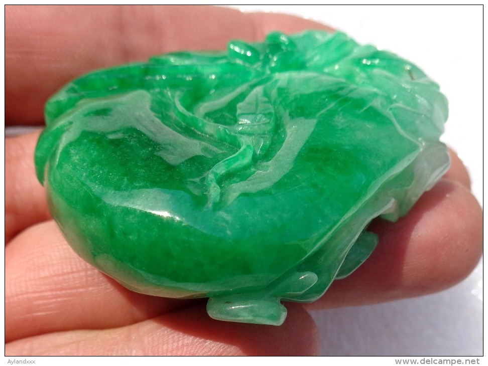 CINA (China): Superb Natural Undyed Apple Green Jadeite (jade) Pendant - Certified - Arte Orientale