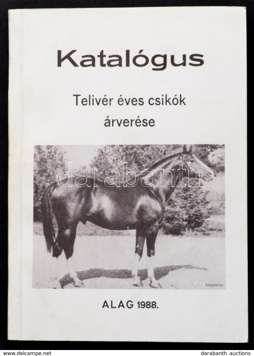 1988 Telivér éves Csikók árverése. Katalógus. Bábolna, 1988., Agrária. - Ohne Zuordnung