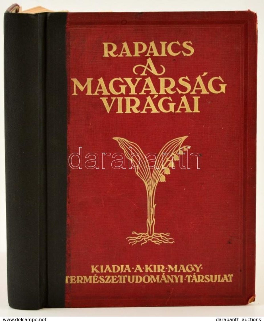 Rapaics Raymund: A Magyarság Virágai. A Virágkultusz Története. Bp.,1932, M. Kir. Természettudományi Társulat, VIII+423  - Ohne Zuordnung