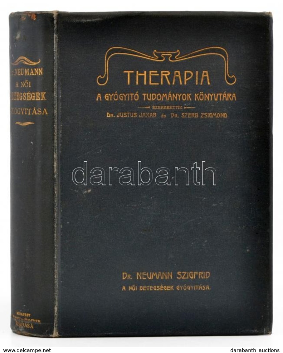 Dr. Neumann Szigfrid: A Női Betegségek Gyógyítása. Therapia,a Gyógyító Tudományok Könyvtára IX. Köt. Bp., 1905, Singer é - Ohne Zuordnung