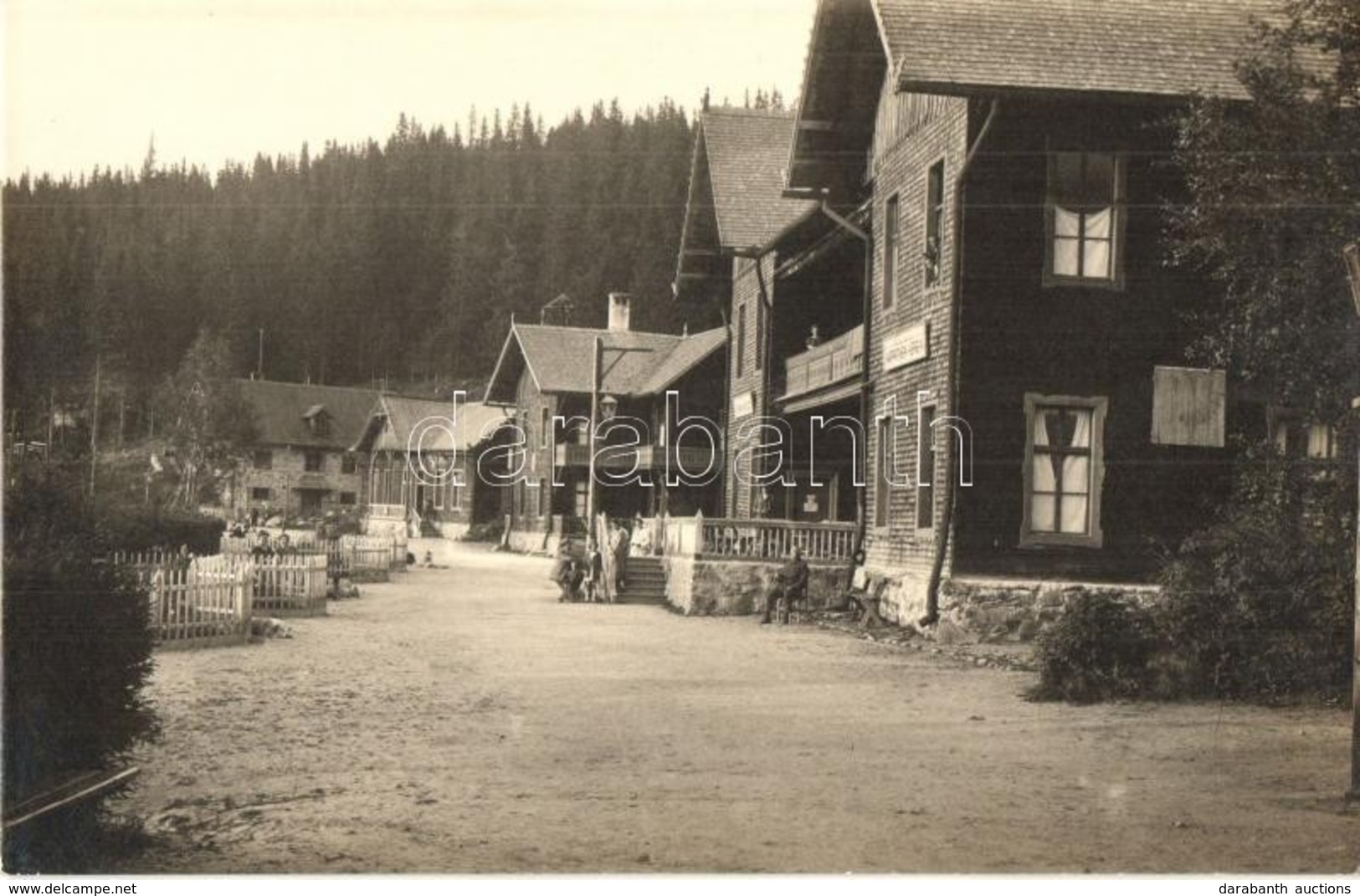 ** T1 Szebenjuharos, Hohe Rinne, Paltinis; Karpathen Verein Gyógyháza, üdülőházak / Spa Villas. Fot. Orig. E. J. Fischer - Ohne Zuordnung