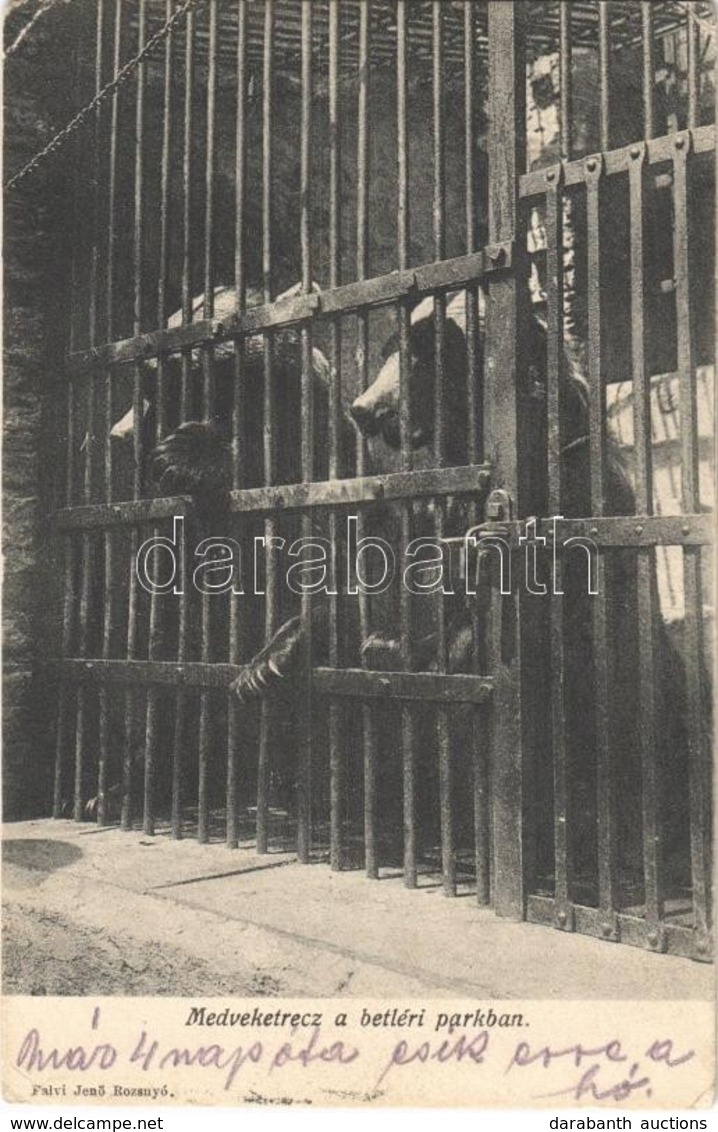 T2/T3 1907 Betlér, Betliar (Rozsnyó, Roznava); Medveketrec A Kastélyparkban. Falvi Jenő Kiadása / Bear Cage In The Castl - Autres & Non Classés