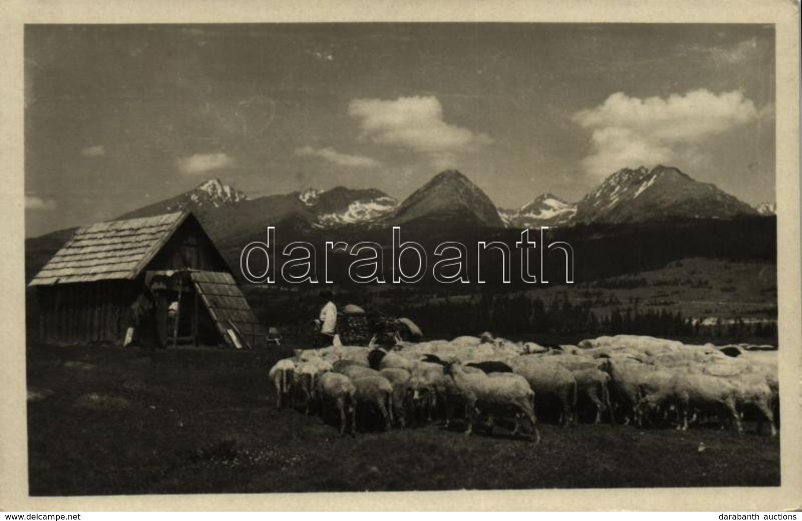 * T2/T3 1948 Tátra, Vysoké Tatry; Pod Strbskym Stítom, Kriván, Solisko, Patria / Csorbai-csúcs, Kriván, Szoliszkó, Pátri - Autres & Non Classés