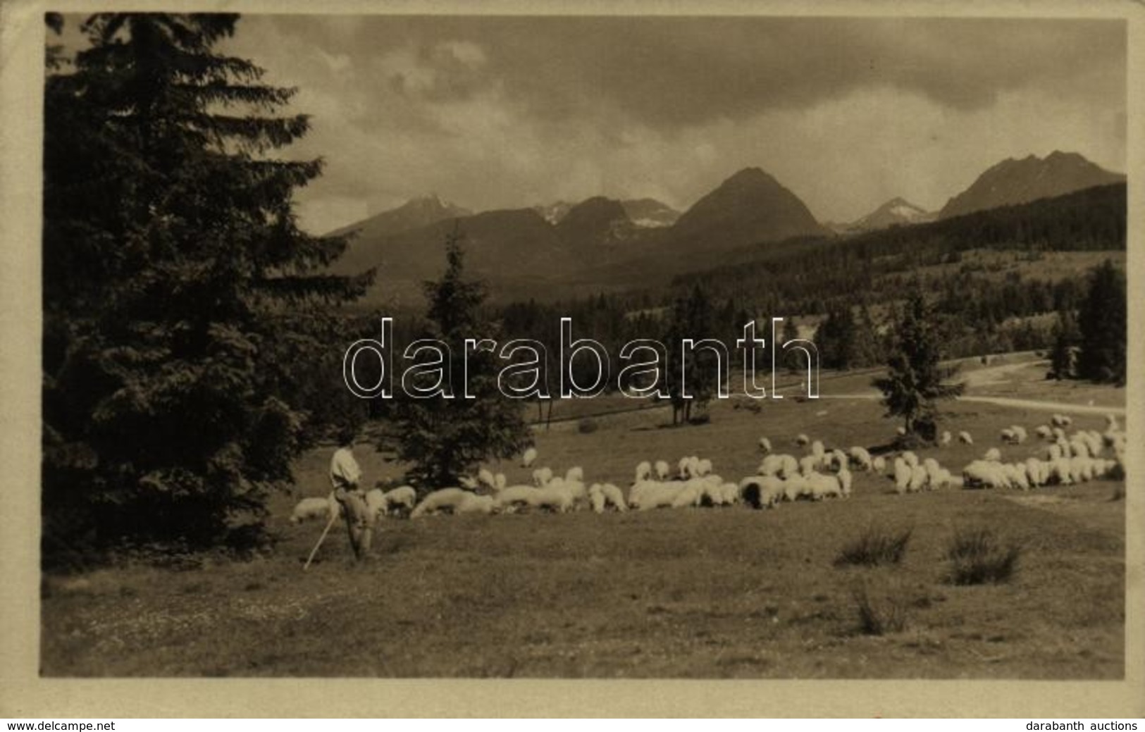 * T2/T3 Tátra, Vysoké Tatry; Juhász A Nyájával / Shepherd With His Sheep, Folklore (ragasztónyom / Gluemark) - Autres & Non Classés