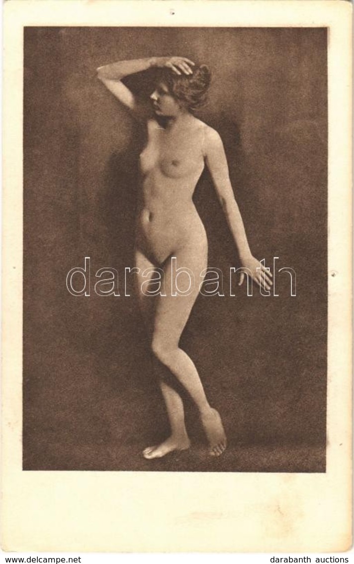 ** T4 Erotic Nude Lady. Phot. Schieberth A. 4. (pinholes) - Ohne Zuordnung