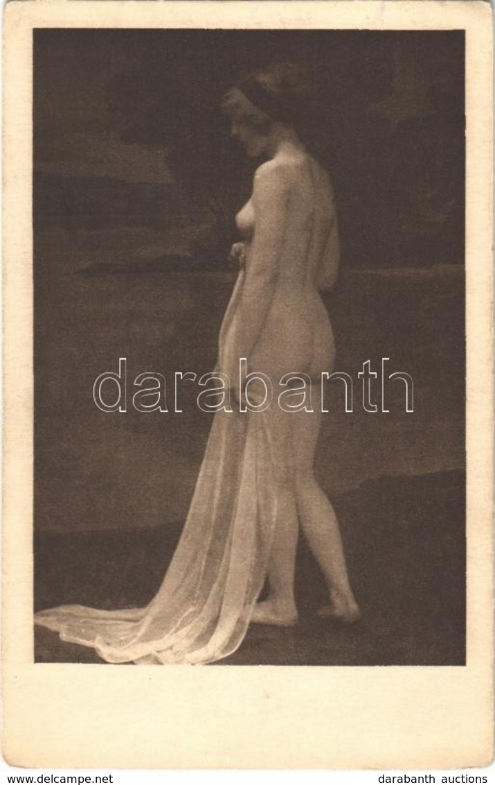 * T2 Erotic Nude Lady. Phot. Schieberth A. 10. - Ohne Zuordnung