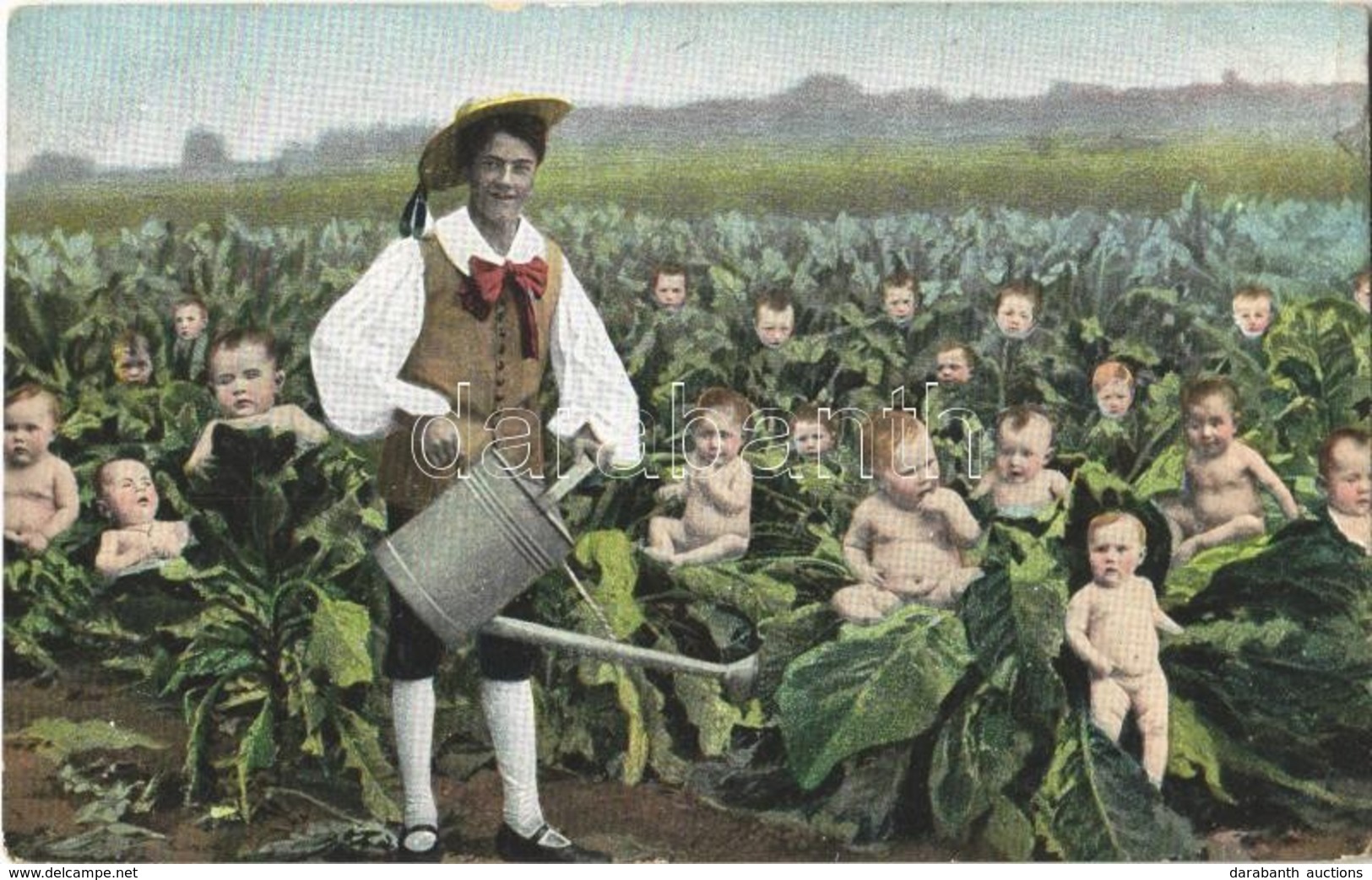 ** T2/T3 Babies Growing On A Cabbage Land. Humour - Non Classés