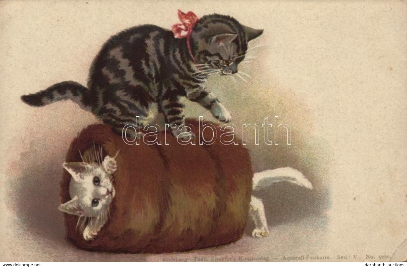 * T2/T3 Cats. Theo. Stroefer's Kunstverlag Aquarell-Postkarte Serie V. No. 5260. Litho (EK) - Ohne Zuordnung