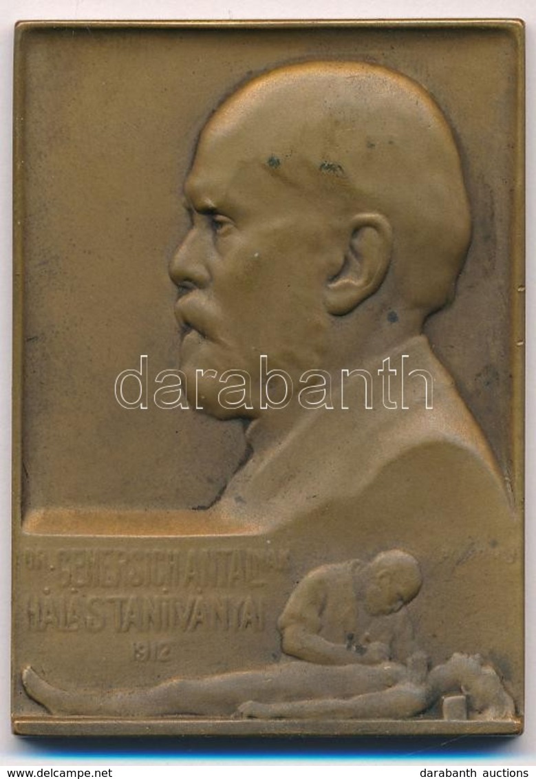 Pásztor János (1881-1945) 1912. 'DR. GENERSICH ANTALNAK HÁLÁS TANÍTVÁNYAI 1912' Br Plakett (60x44mm) T:1-,2 - Non Classés