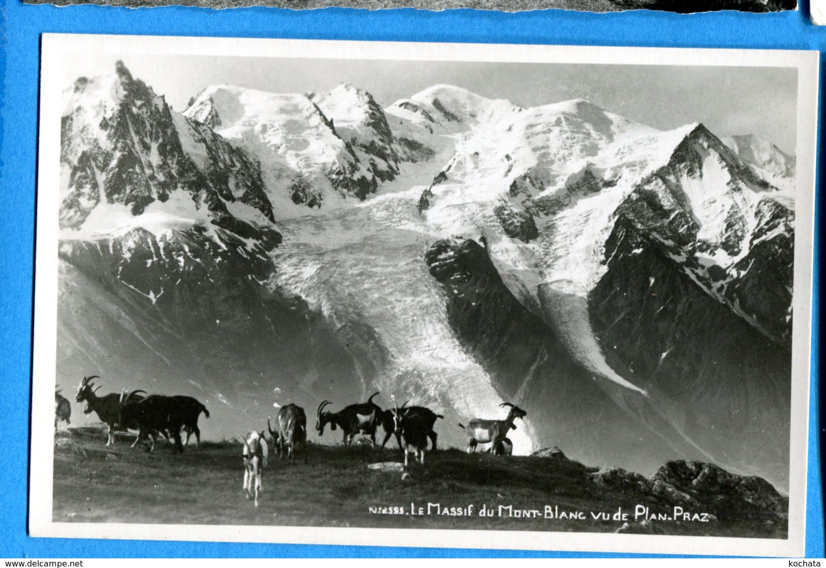 OLI222, Leysin Plan Praz, Massif Du Mont-Blanc, Chèvre, Goat, Ziege, 2595, édit. GIL, Non Circulée - La Praz