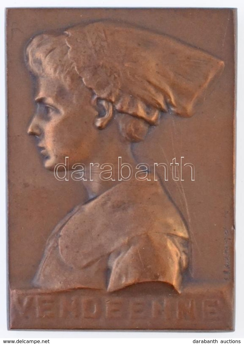 Franciaország DN 'Vendéenne' Br Emlékplakett, Peremén 'BRONZE' Jelzés. Szign.: Robert Mérignac (44x63mm) T:2 Több ü.
Fra - Ohne Zuordnung