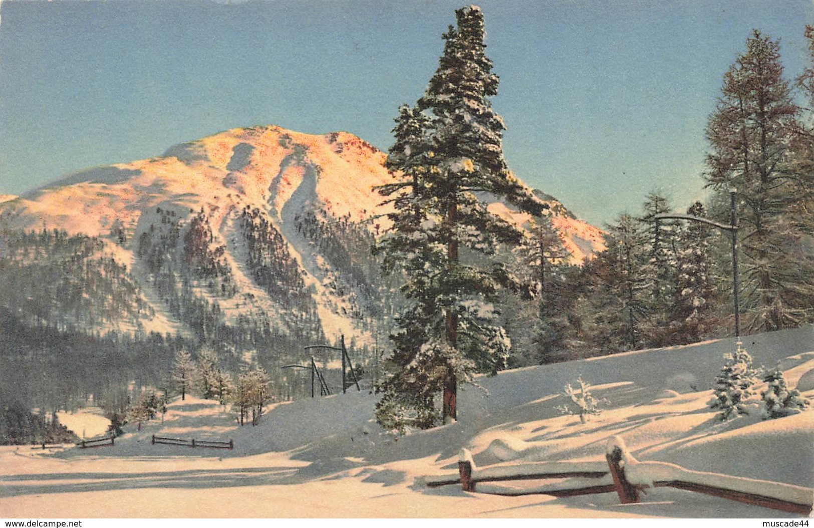 PARTIE AN DER BERNINA BAHN - SCHAFBERG - Bern