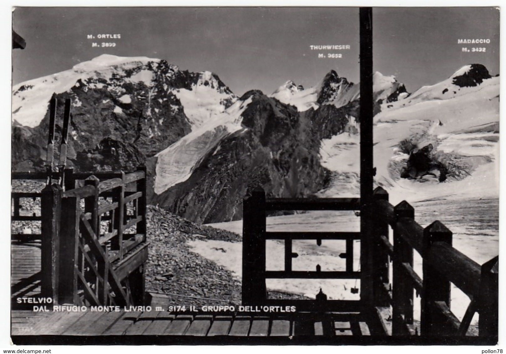 STELVIO DAL RIFUGIO MONTE LIVRIO - IL GRUPPO DELL'ORTLES - SONDRIO - 1952 - Sondrio