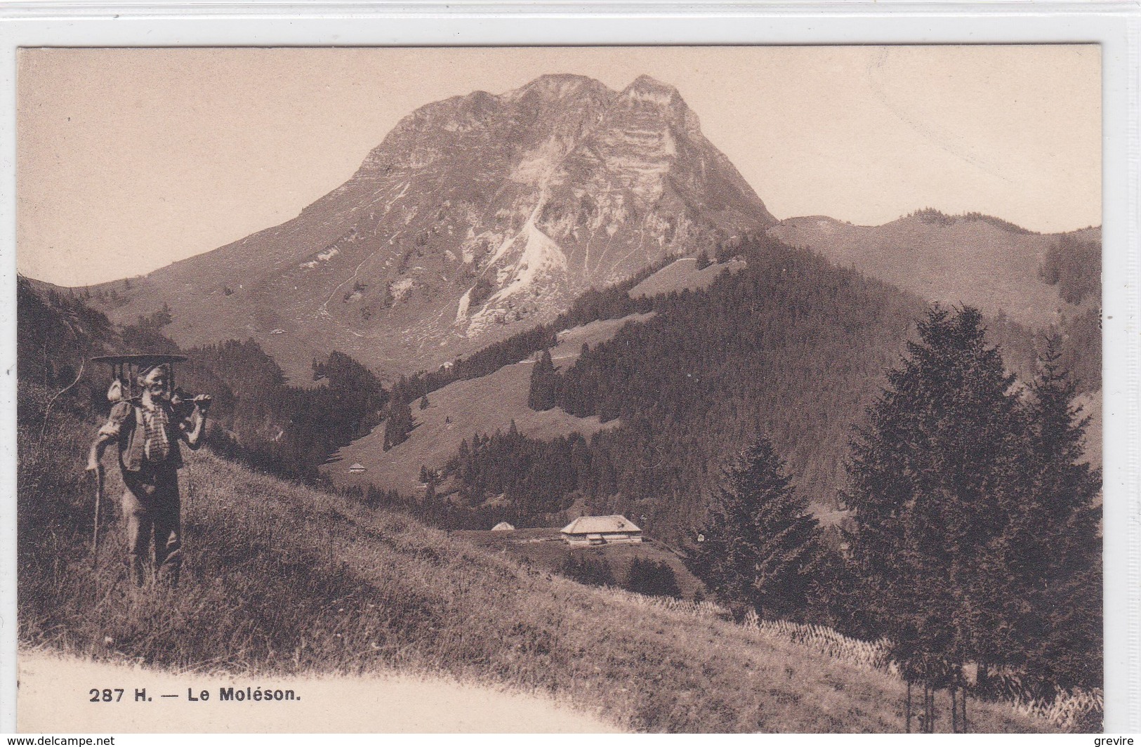 Chalet Des Reybes Et Le Moléson, Commune D'Enney Bas Intyamon - Enney