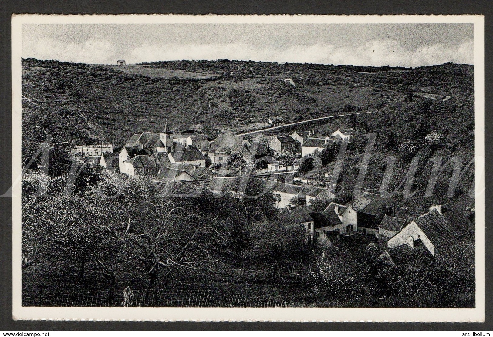 Postcard / CPA / Sosoye / Panorama / Nels / Edit. Ruth, Epicerie, Sosoye / 1958 / 2 Scans - Anhée