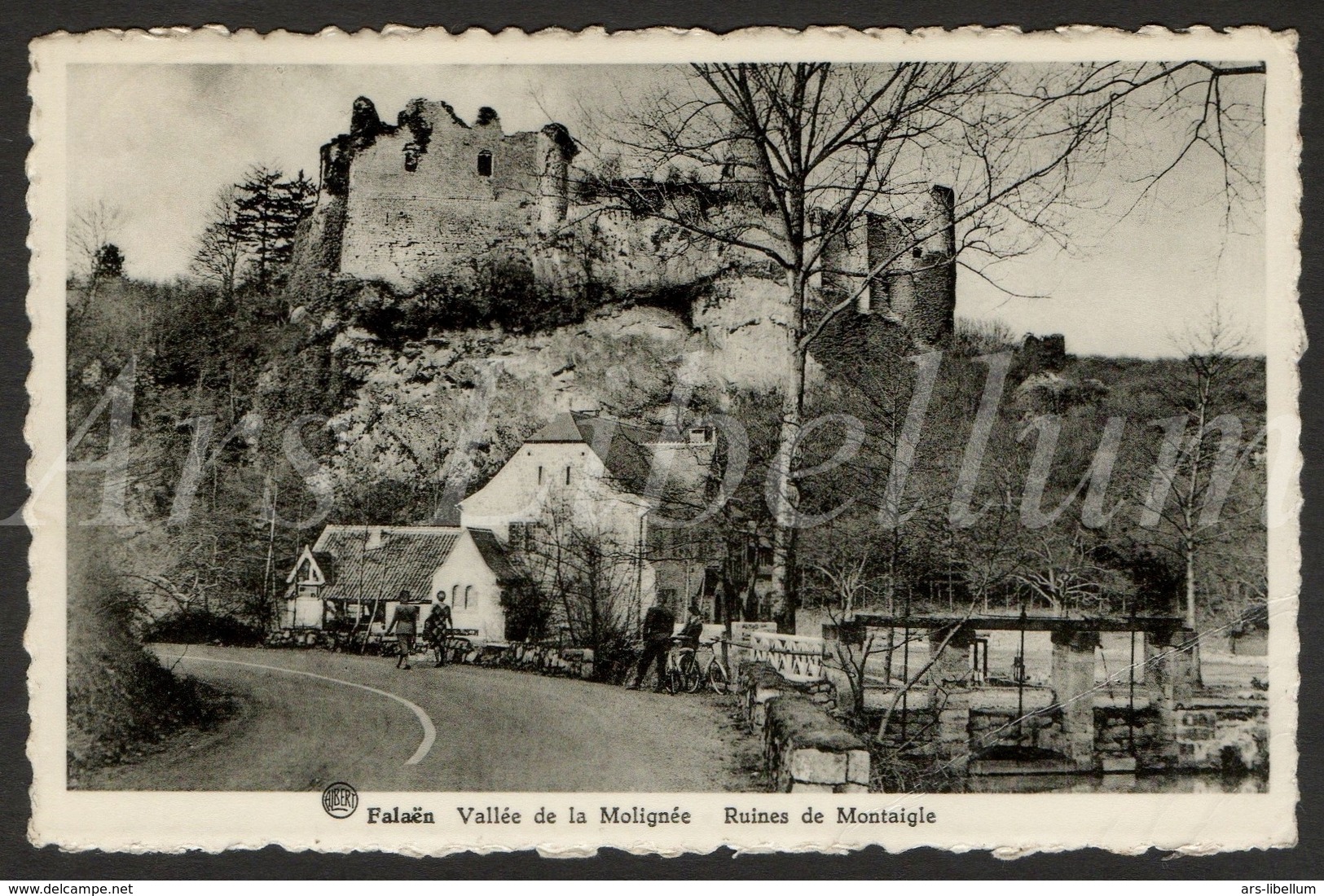 Postcard / CPA / Falaën / Vallée De La Molignée / Ruines De Montaigle / Albert / Real Photoplastifix A. Dohmen / 1958 - Onhaye