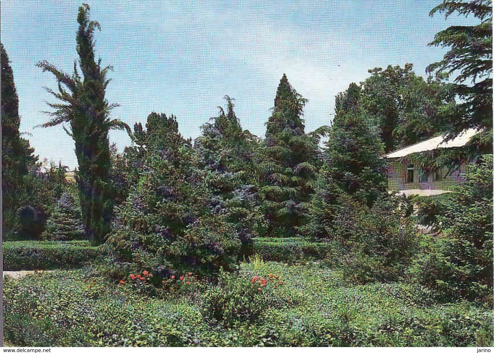 Tajikistan, Dushanbe, Botanic Garden, ботанический сад, Unused 1982 - Tadjikistan