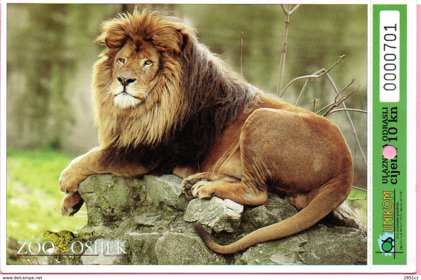 Ticket / Postcard - ZOO Garden - Panthera Leo - Lion, Osijek, Croatia - Tickets - Entradas