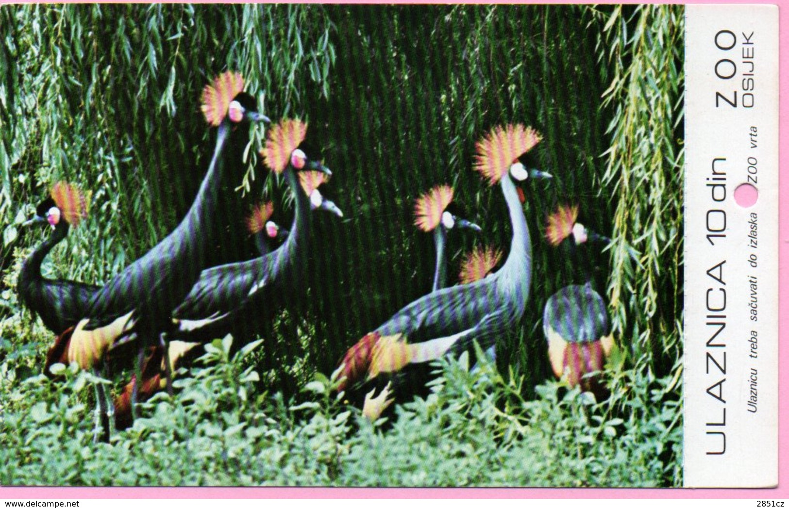 Ticket / Postcard - ZOO Garden - Crow Cranes, Osijek, Yugoslavia - Tickets - Vouchers