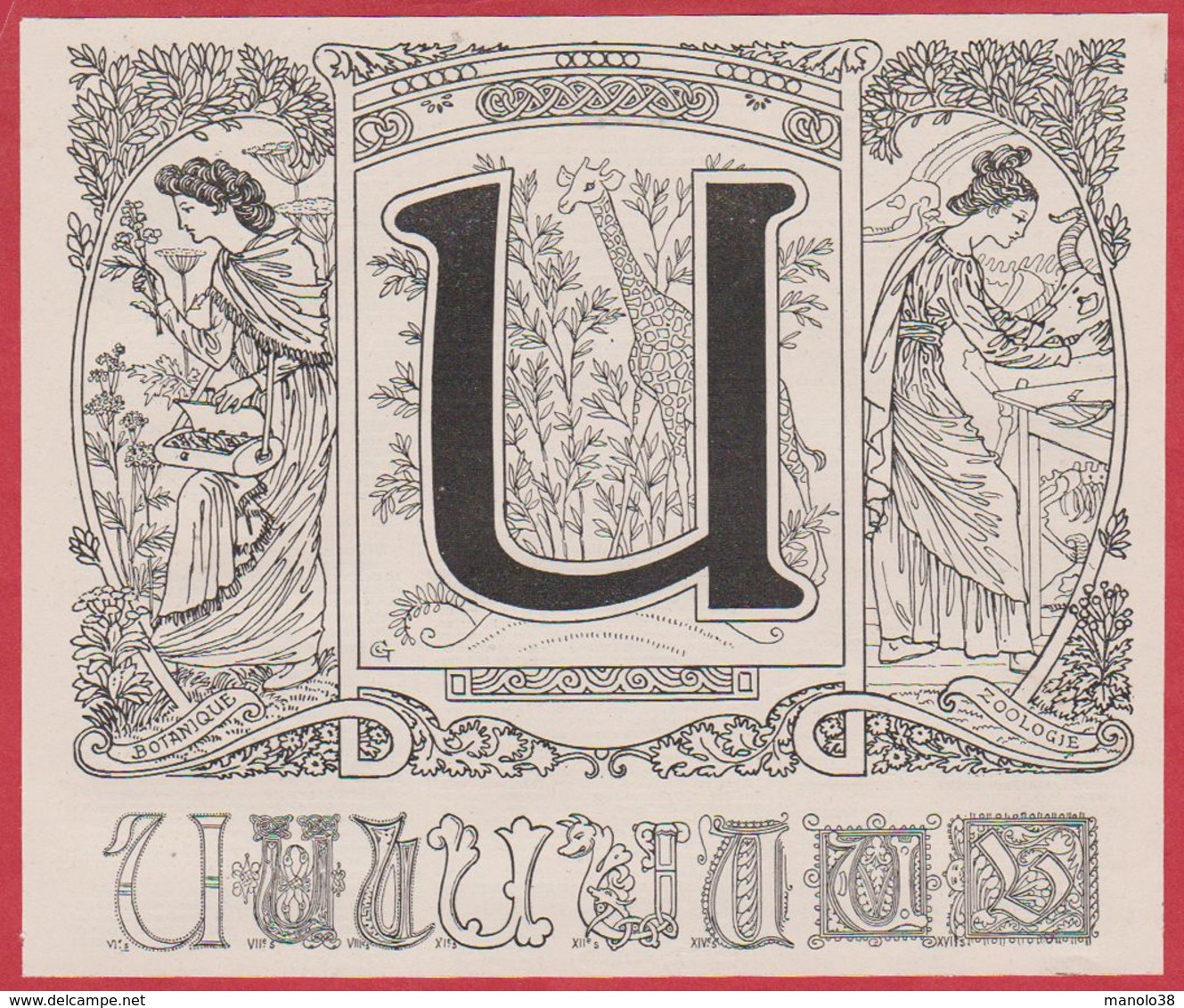 Lettre U Illustrée. Style Art Nouveau. Allégorie Représentant La Botanique Et La Zoologie. Larousse 1931. - Documenti Storici