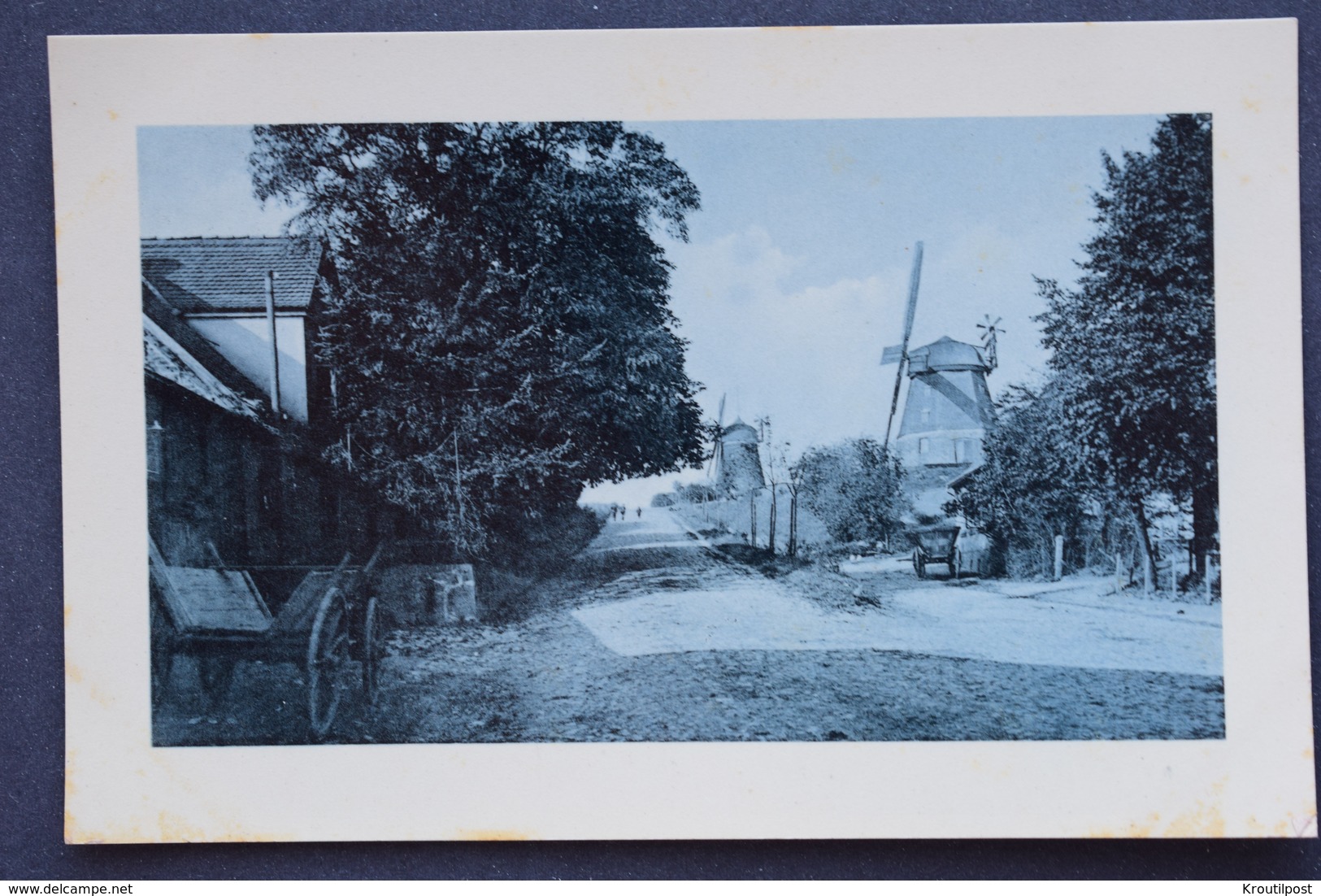 OLD - CPA - Photo - Campagne Hollandaise - Niederlands Platteland - Molen - Moulin - Fotografia