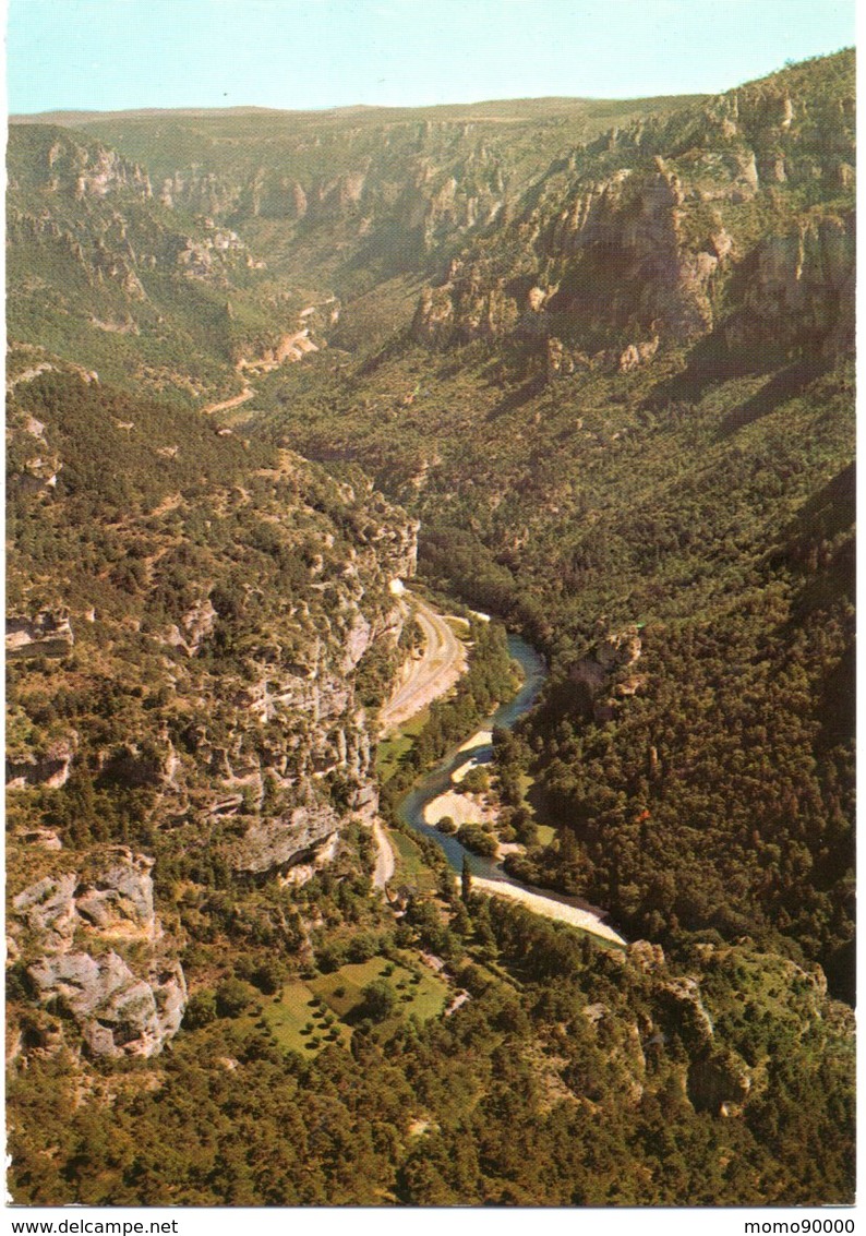 GORGES DU TARN : Le Tarn Vu Du Point Sublime - Vielmur Sur Agout