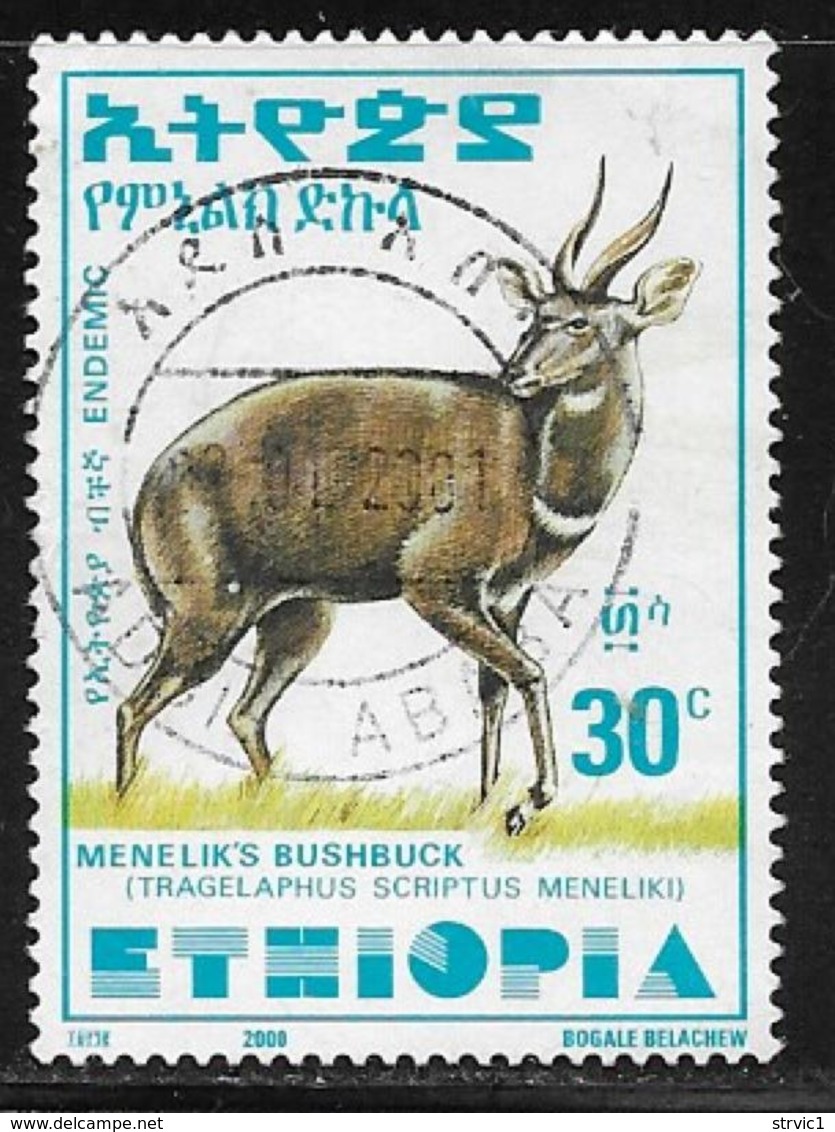 Ethiopia Scott # 1549D Used Bushbuck, 2000 - Ethiopia