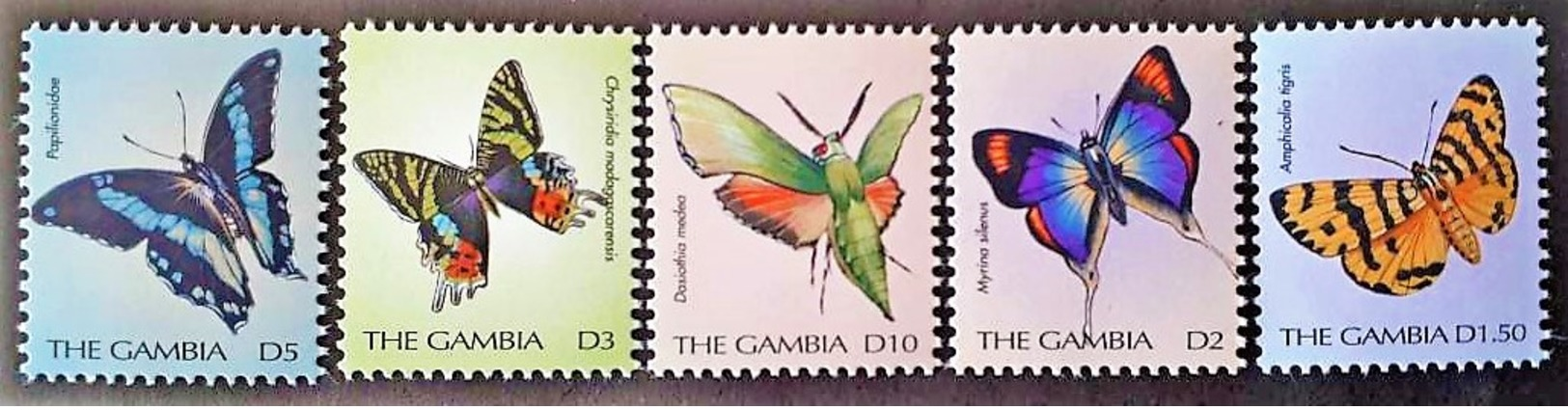 Gambia 2000**SC.2262-66  Butterflies , MNH [24;69] - Vlinders