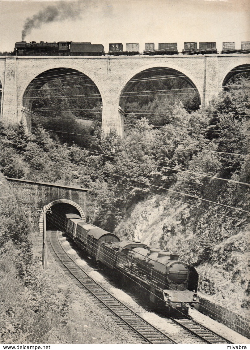 LAST STEAM LOCOMOTIVES OF FRANCE - YVES BRONCARD - (EISENBAHNEN CHEMIN DE FER VAPEUR) - Transportes