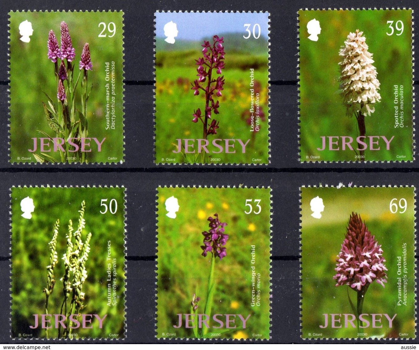 Jersey 2003 Yvertn° 1102-1107 *** MNH  Cote 13,50 Euro Orchidées Sauvages Flowers Fleurs Bloemen - Jersey