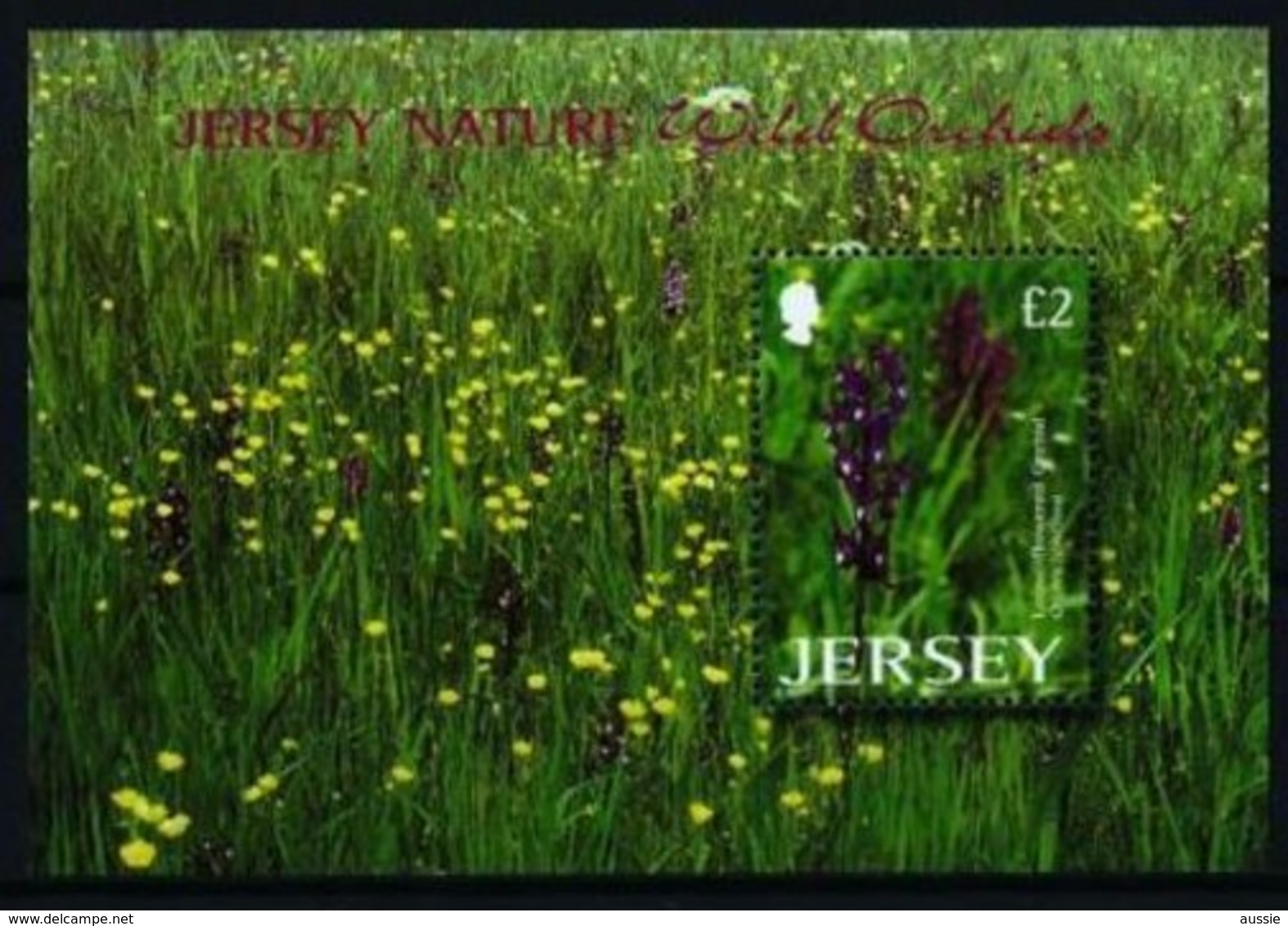 Jersey 2003 Yvertn° Bloc 47 *** MNH  Cote 10 Euro Orchidées Sauvages Flowers Fleurs Bloemen - Jersey