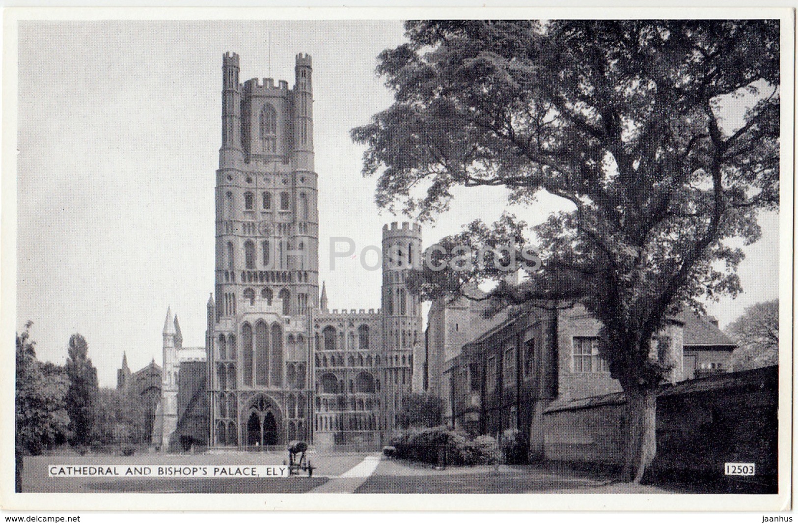 Ely - Cathedral And Bishop' S Palace - 12503 - 1961 - United Kingdom - England - Used - Ely
