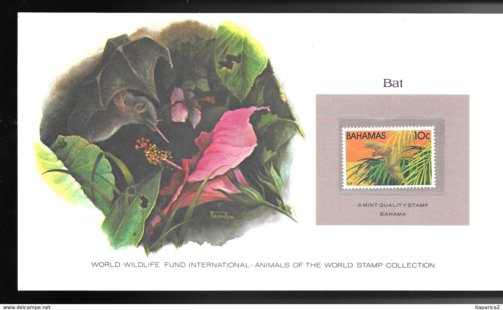 BAHAMAS 1982 SUPERBE CARTE COLECTION WWF BAT CHAUVE SOURIS  Avec Timbre N° 514 Neuf **sans Charnière / MA06 - Bahamas (1973-...)