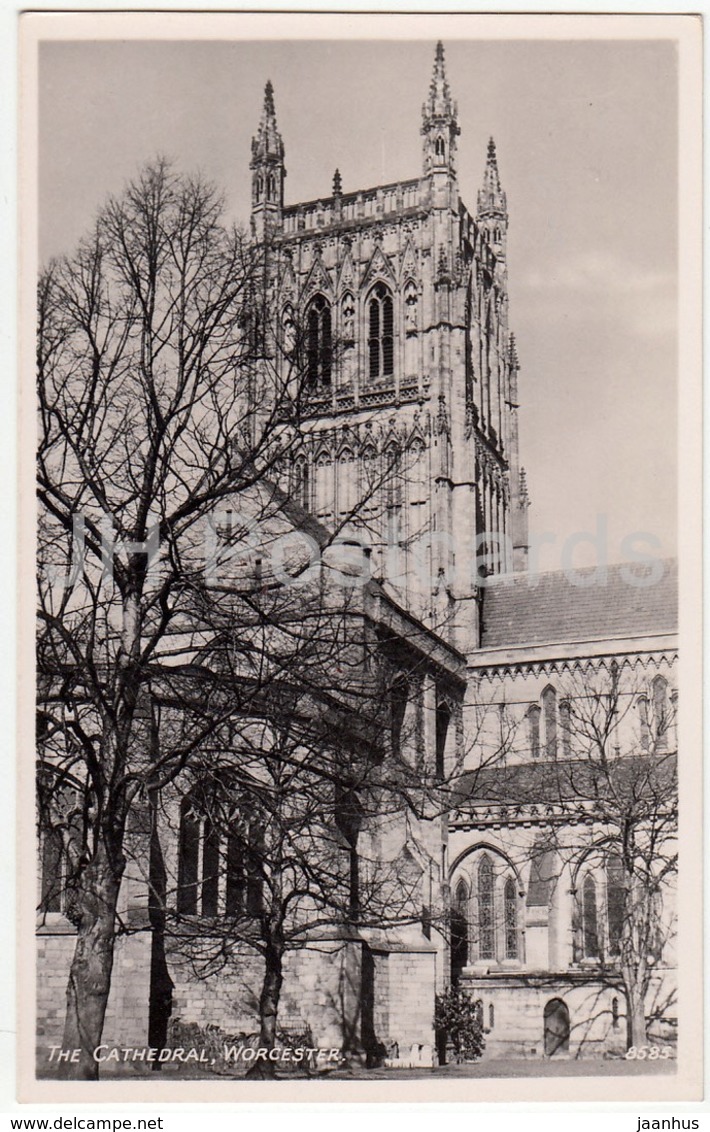 Worcester - The Cathedral - 8585 - 1952 - United Kingdom - England - Used - Other & Unclassified