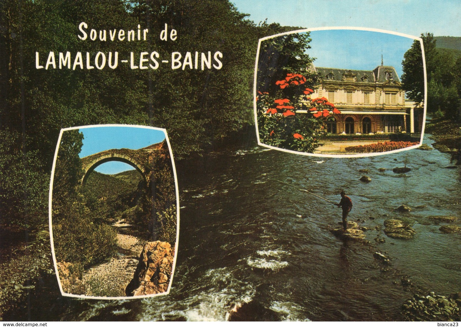 B64178 Cpm Lamalou Les Bains, Le Pont Du Diable - Lamalou Les Bains
