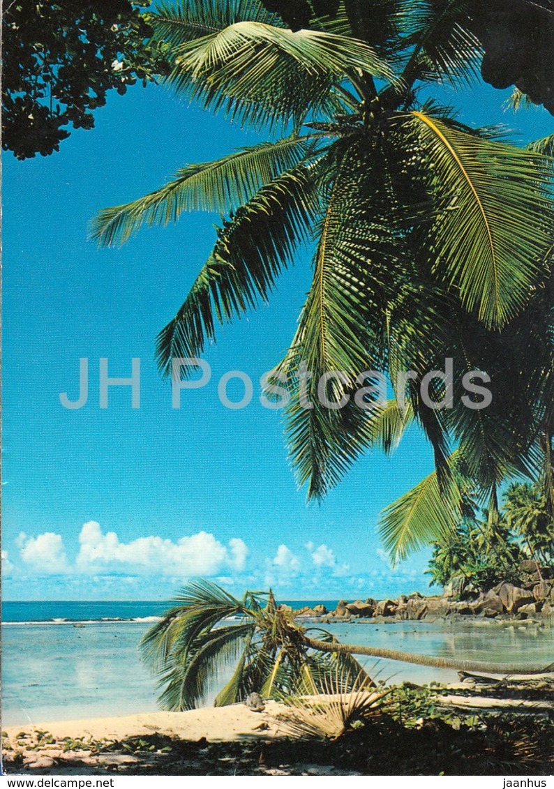Beach View Mache - 105 - 1983 - Seychelles - Used - Seychelles