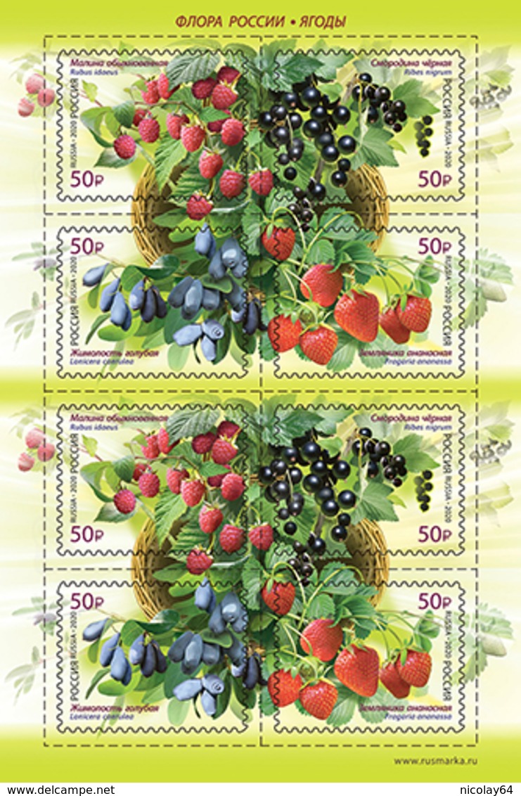 Russia  2020 Berries Sheet MNH - Unused Stamps