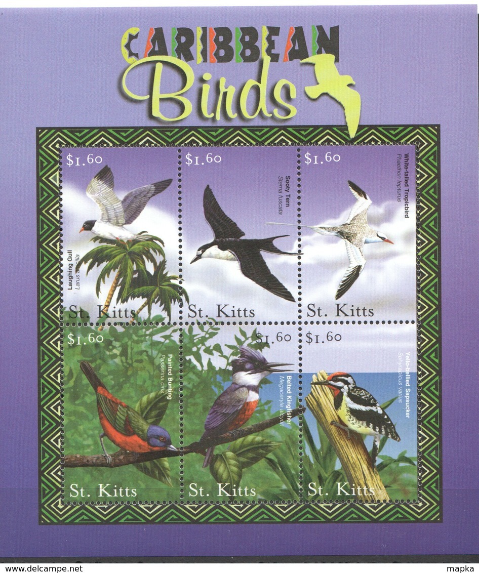 PK147 ST.KITTS FAUNA CARIBBEAN BIRDS 1KB MNH - Autres & Non Classés