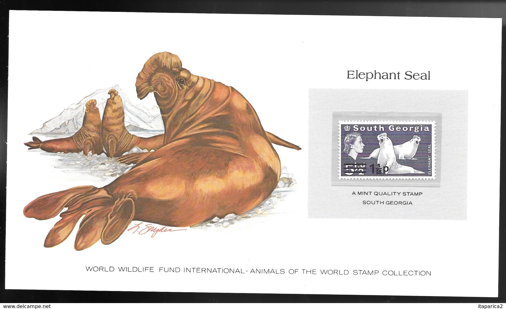 SUD GEORGIA  1963 SUPERBE CARTE COLECTION WWF ELEPHANT SEAL ELEPHANT DE MER   Avec Timbre Neuf **sans Charnière / MA06 - Géorgie