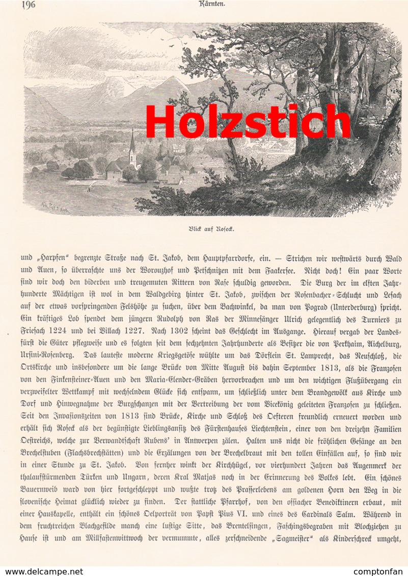 A102 374 Kärnten Rosental Rosegg 1 Artikel Mit Ca.3 Bildern 1880 !! - Autres & Non Classés