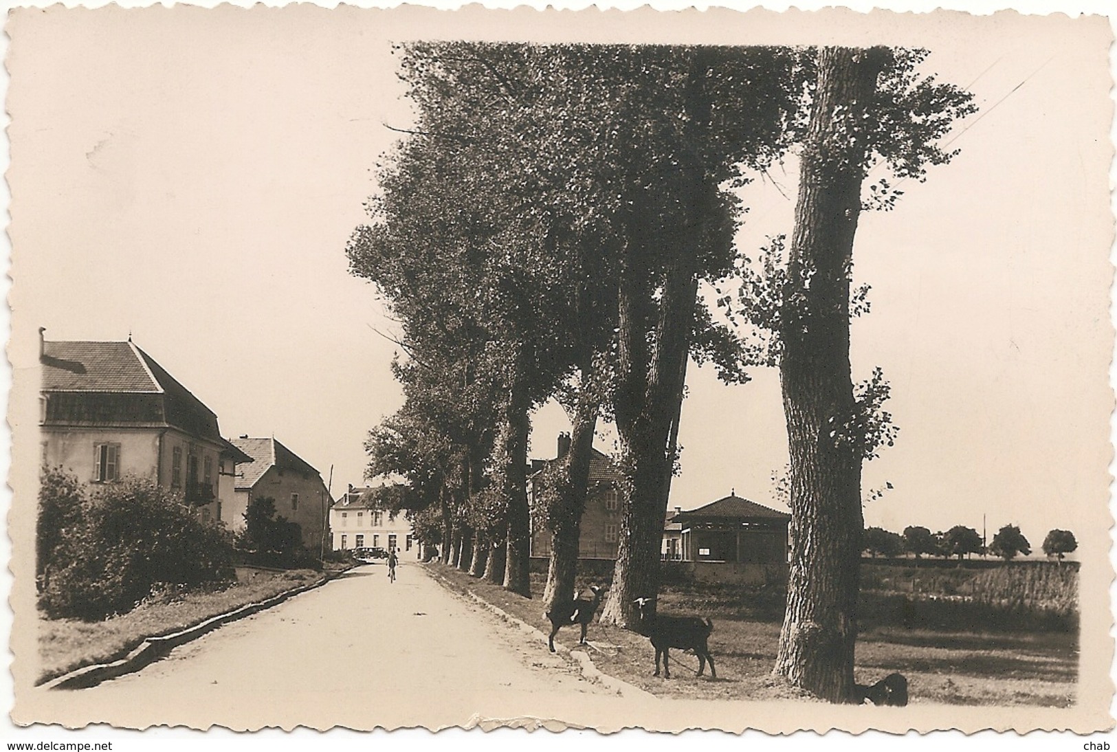 C.P.S.M - FRASNE (Doubs) - Voyagée 1948 - Autres & Non Classés