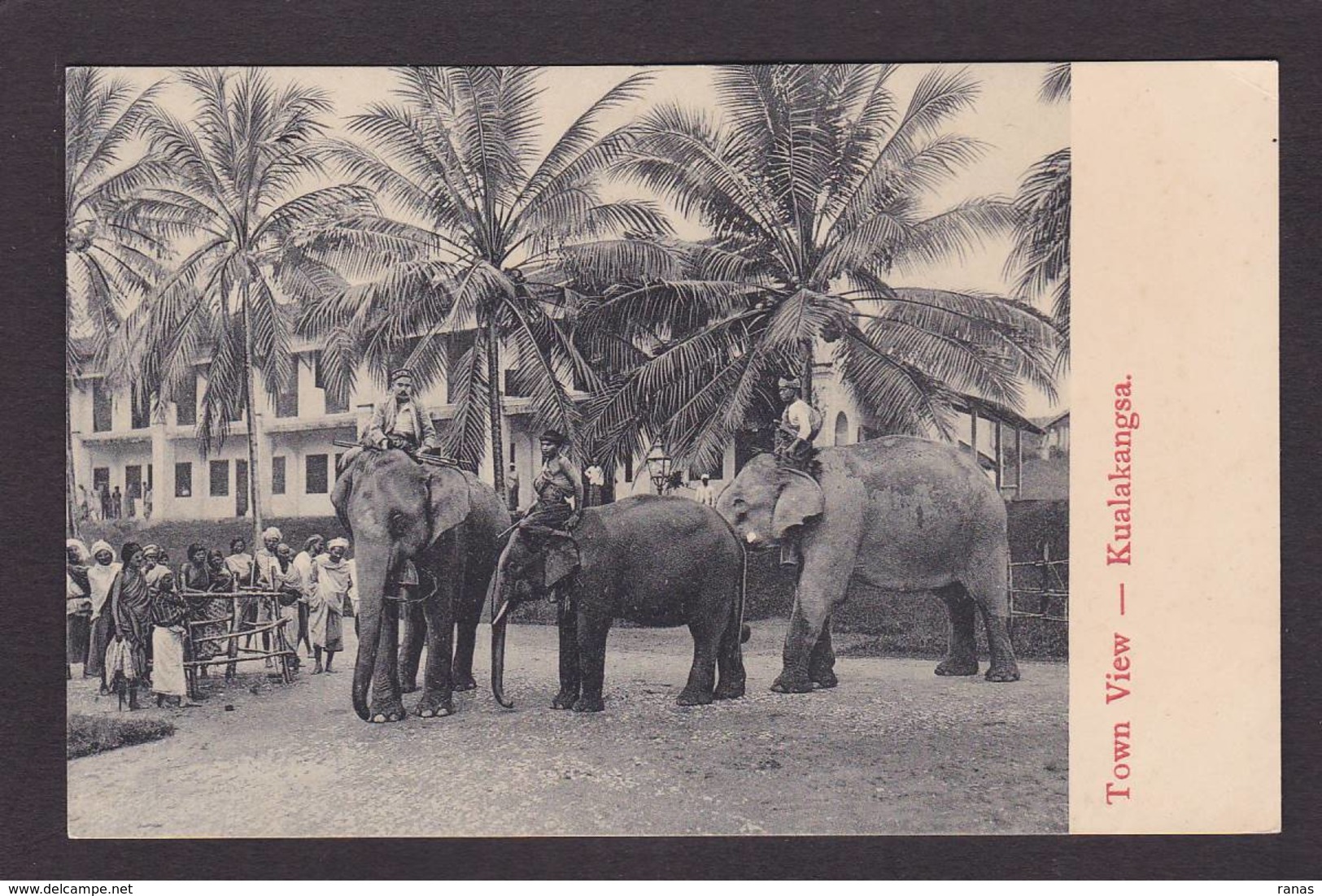 CPA Singapoure Singapore Non Circulé éléphant - Singapore